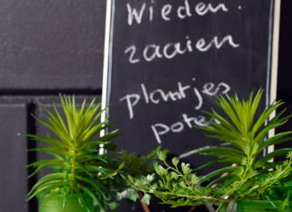 Tuin opleukers beton