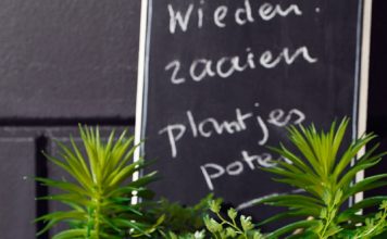 Tuin opleukers beton