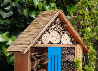 Insectenhotel insectenhotel