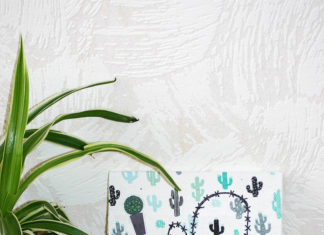 Maak jouw eigen cactus kunstwerk! Maak jouw eigen cactus kunstwerk