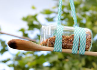 Vogelvoerhouder: makkelijke DIY!