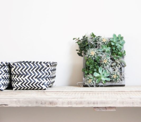 DIY vetplantjes schilderij