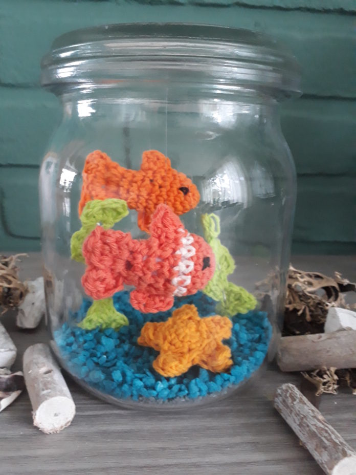 aquarium in pot