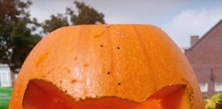 Leuk voor Halloween: pompoen uitsnijden pompoen