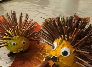 Pompoen egeltjes pompoen egeltjes