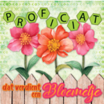bloemetje
