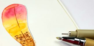 Watercolouring met veer
