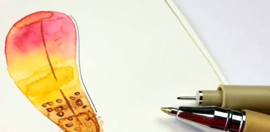 Watercolouring met veer