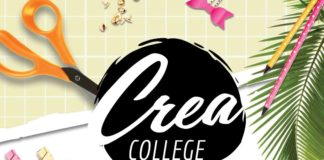Update Crea College 2020
