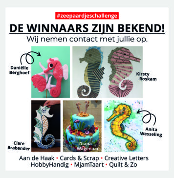 Winnaars Zeepaardjeschallenge