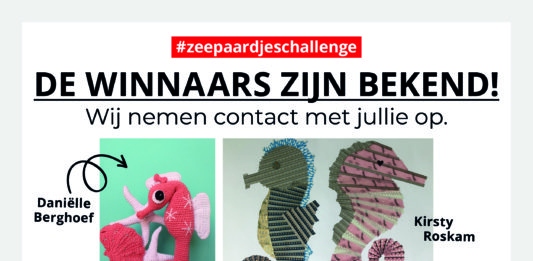 Winnaars Zeepaardjeschallenge