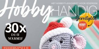 Storing bij de online uitgave