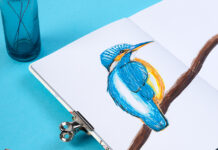 IJsvogel