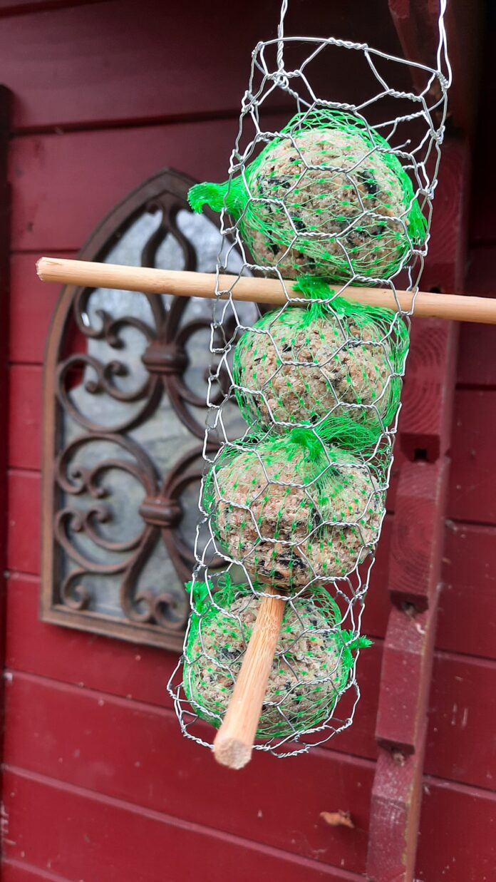 vetbollenkorfje voor de vogels maken