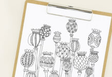 Papavers doodlen