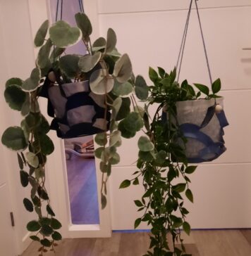 Plantenhanger van leer plantenhanger van leer