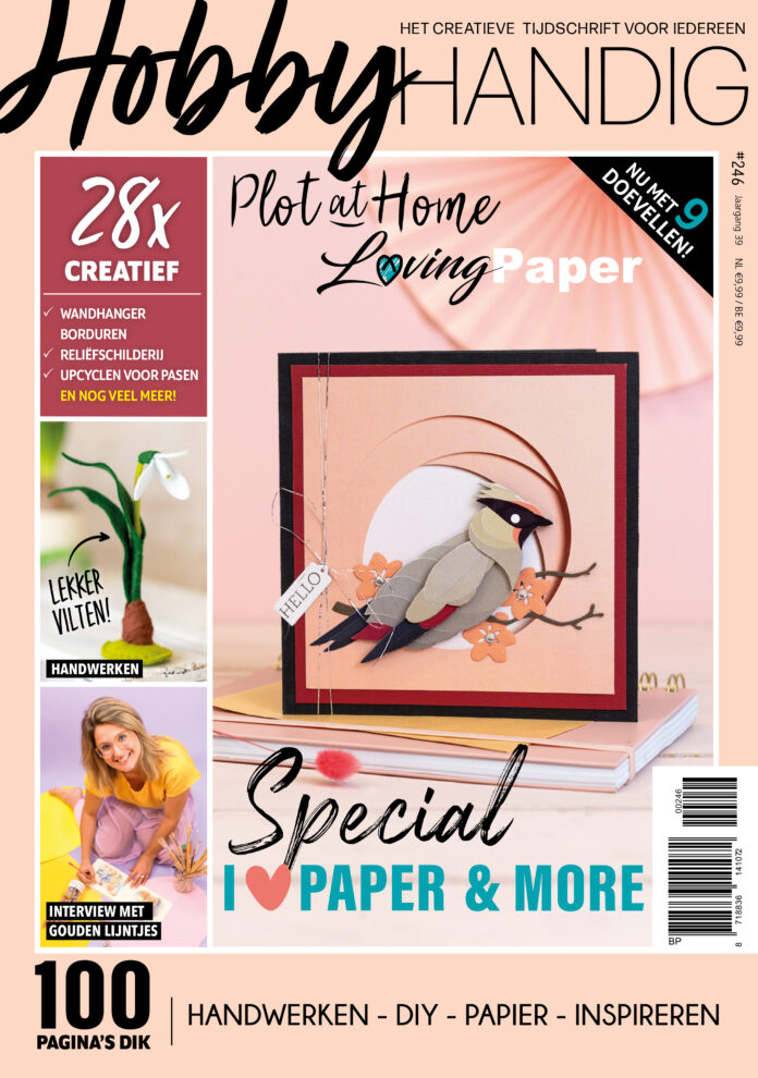 cover hobbyhandig 246