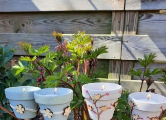 Van bloempotje naar tuinlicht van bloempotje naar tuinlicht