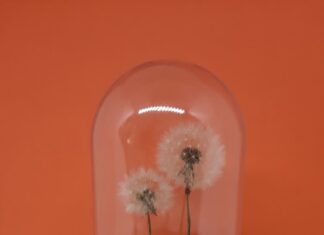 De volle maan onder een stolp