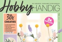 HobbyHandig 258 (ook online)