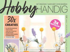HobbyHandig 258 (ook online)