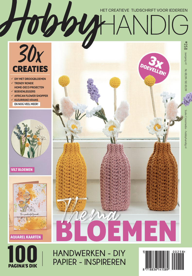 Beschermd: HobbyHandig 258