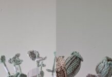 Bloemen haken Eucalyptus en Zaaddoos