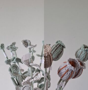 Bloemen haken Eucalyptus en Zaaddoos