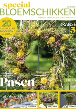 Schermafbeelding 2026-03-02 111016