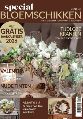 Schermafbeelding 2026-03-02 124147