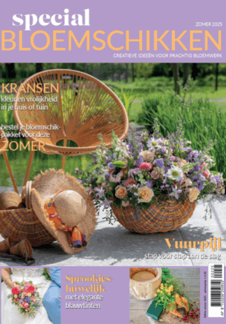 Schermafbeelding 2026-03-02 141141