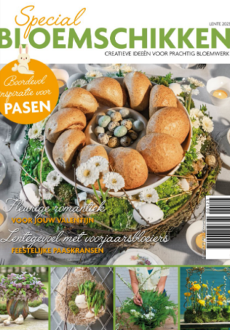 Schermafbeelding 2026-05-26 143317