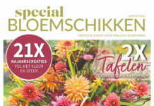 Special Bloemschikken herfst 2026 (digitale editie)