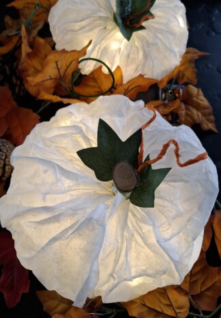 pompoenen van bakpapier