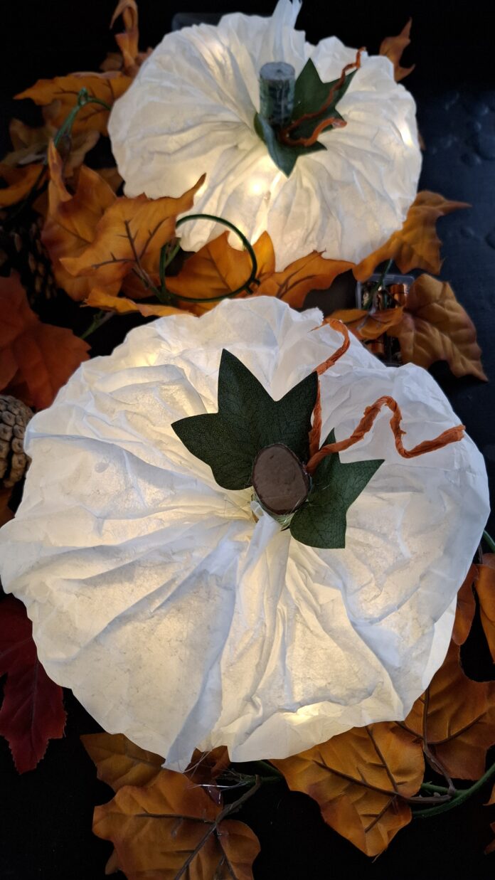 pompoenen van bakpapier