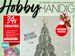 HobbyHandig 261 (ook online)